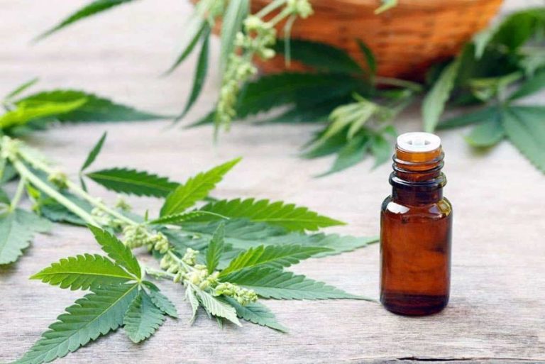 Proibição do cultivo de maconha deve manter medicamentos a base da erva com custo muito alto