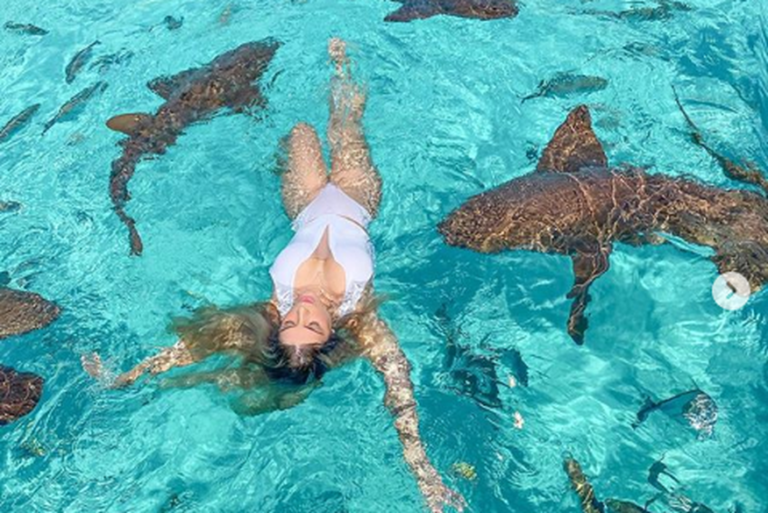 Blogueira é mordida por tubarão ao fazer foto no meio dos animais nas Bahamas