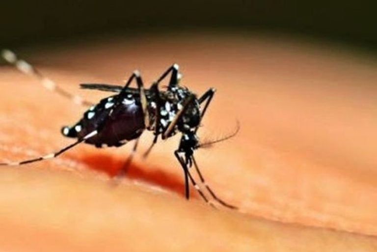 32 cidades paraibanas apresentam situação de risco para ocorrência de surto de dengue, chikungunya e zika