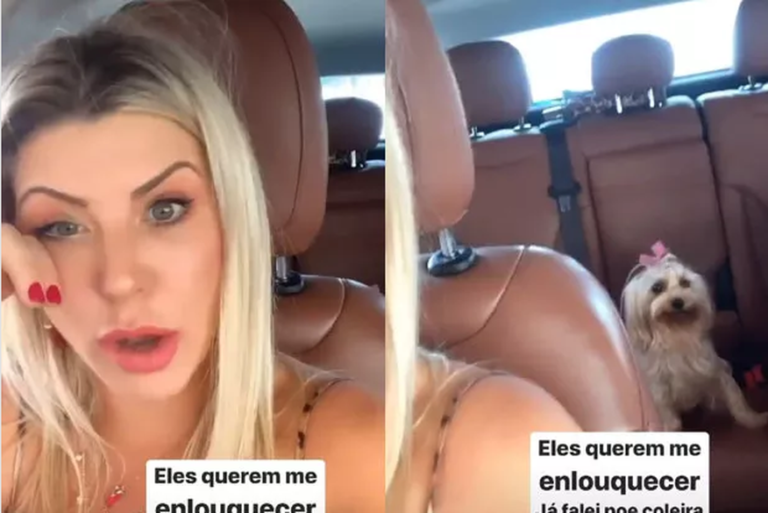 Ex-BBB Íris Stefanelli chora procurando cadela perdida, que estava no banco de trás do carro