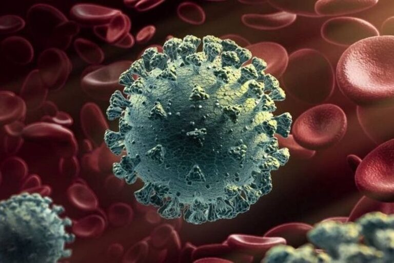 Covid: imunidade evoluiu para combater novas variantes, diz estudo