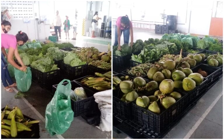 +AGRICULTURA + COMIDA NA MESA: Ingá recebe mais 4 toneladas de alimentos para distribuição às famílias carentes