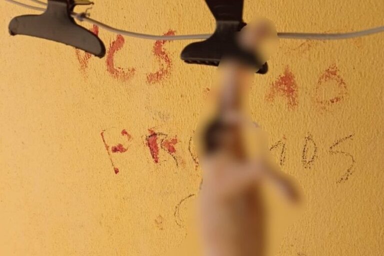 Homem é preso suspeito de pular muro da vizinha, matar cachorros dela e escrever com sangue dos animais: ‘Vocês são os próximos’