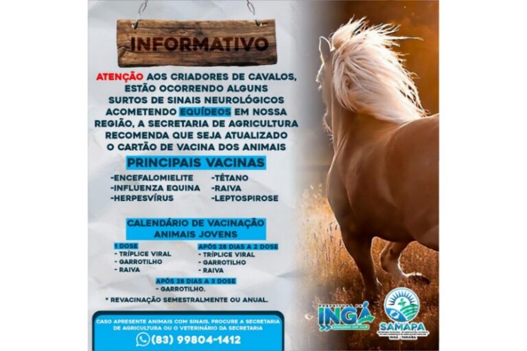 ALERTA: Atenção criadores de cavalos para surto viral