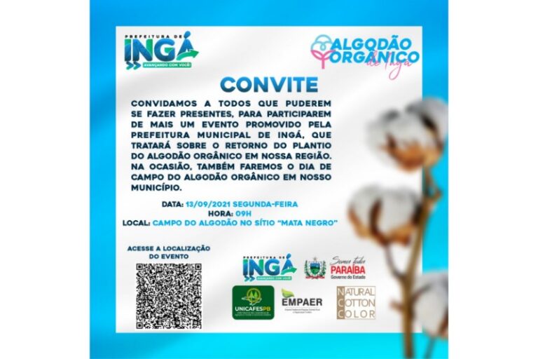 Cultura do algodão orgânico é tema de dia de campo em Ingá