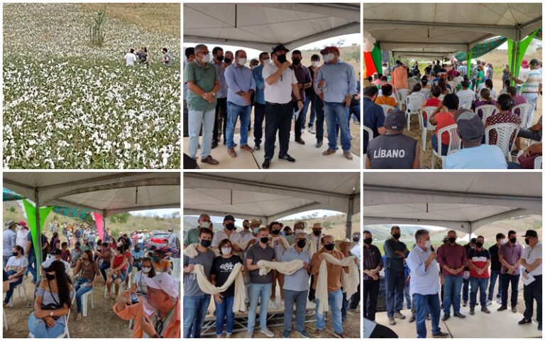INGÁ: Prefeito Robério reúne autoridades, agricultores, técnicos agrícolas e empresas têxteis em Dia de Campo com foco no plantio do algodão orgânico