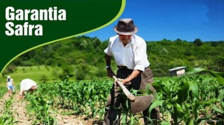 RIACHÃO: Secretaria de Agricultura convoca agricultores para inscrição no Garantia Safra 2021/2022