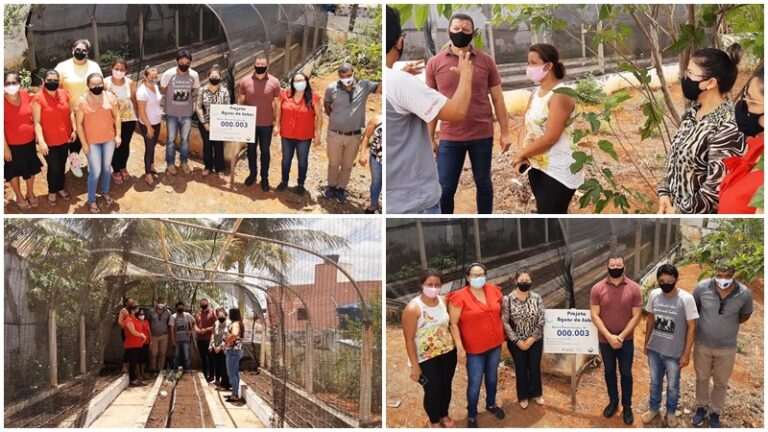 SERRA REDONDA: Projeto Águas do Saber revitaliza horta em escola municipal