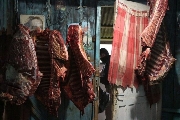 Suspeitos de vender carne de cavalos abatidos clandestinamente a restaurantes são presos em operação