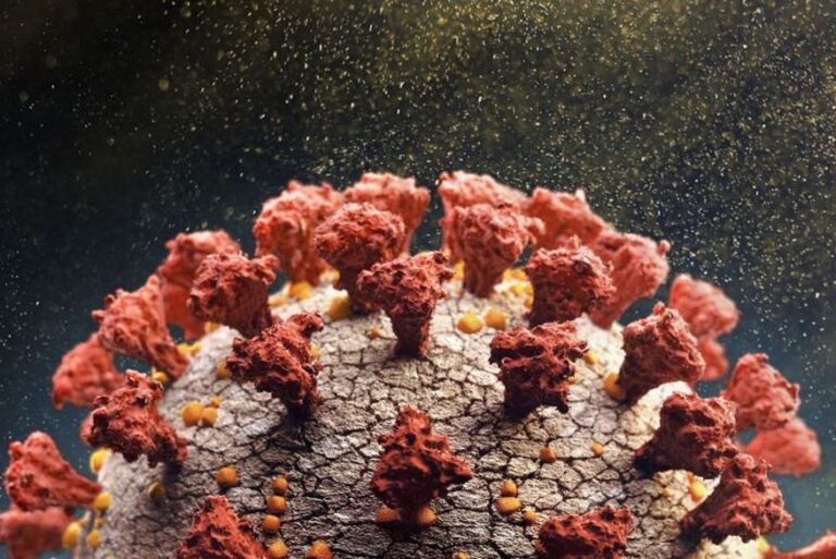 Paraíba registra 984 novos casos de covid-19, 7 mortes e 36% de ocupação em leitos de UTI