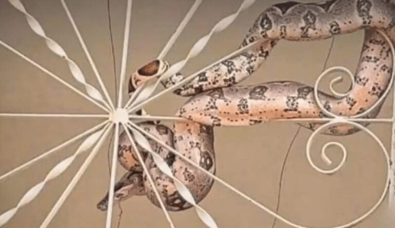 Cientistas criam soro universal eficaz contra picadas de várias cobras