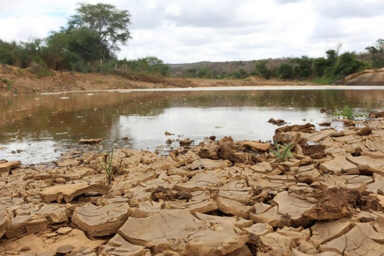 Paraíba decreta estado de emergência em 150 cidades devido à seca Paraíba decreta estado de emergência em 150 cidades devido à seca