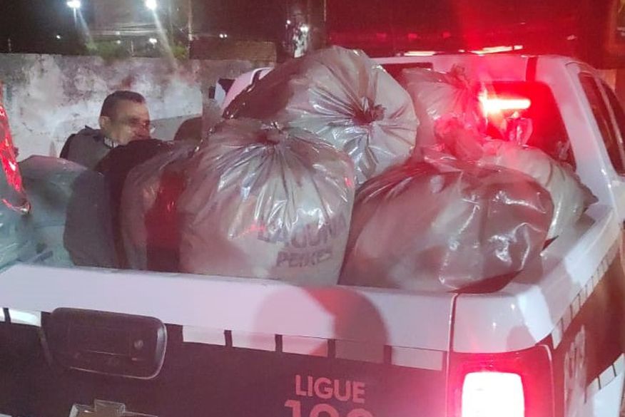 Leia mais sobre o artigo Polícia apreende mais de 200 kg de maconha e prende dois homens após perseguição, na Paraíba