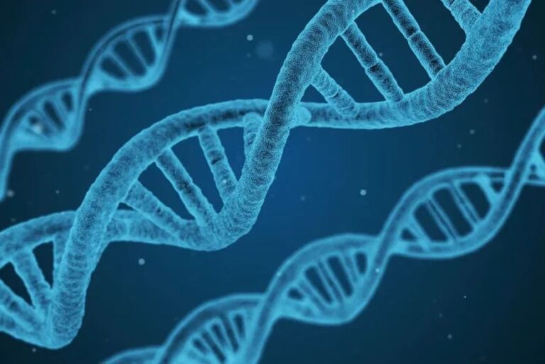 Cientistas dizem ter identificado momento em que a humanidade quase foi extinta Cientistas dizem ter identificado momento em que a humanidade quase foi extinta