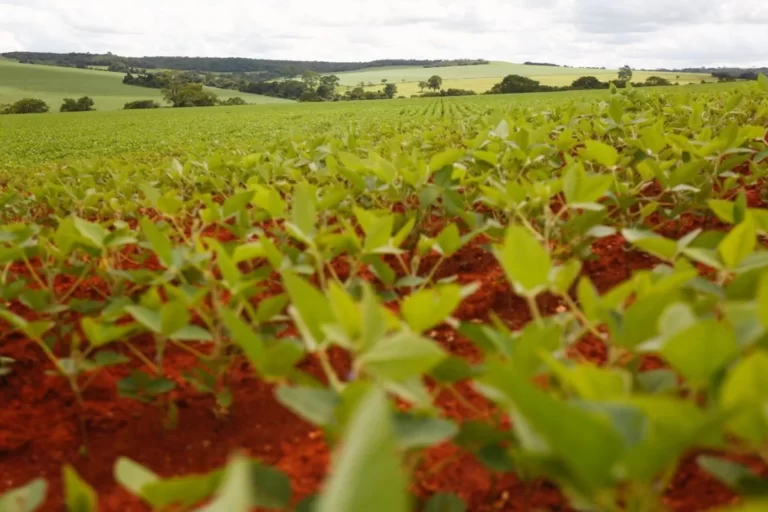 Grupo belga compra agritech brasileira por R$ 2,8 bilhões Grupo belga compra agritech brasileira por R$ 2,8 bilhões