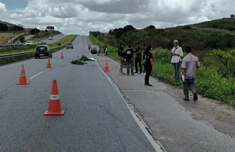 Mulher morre após cair de moto e ser atropelada na BR-230