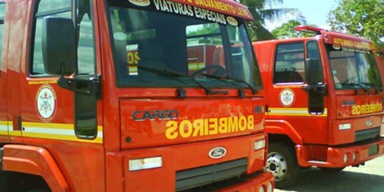 Cobra se esconde dentro de sofá e assusta família durante madrugada; bombeiros resgatam animal