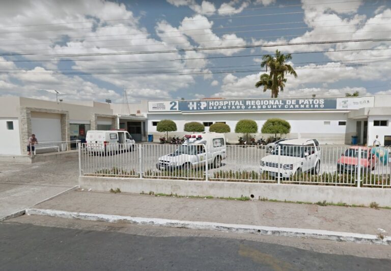 Cachorro morre e homem fica ferido em ataque de abelhas no Sertão da Paraíba