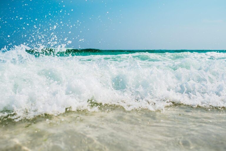 Litoral da Paraíba tem apenas quatro praias impróprias ao banho