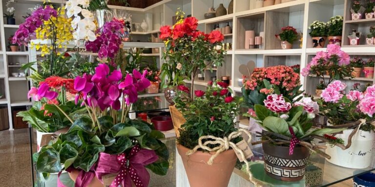 Dia de Finados movimenta floriculturas e diferença no preço de flores pode chegar a 350% na Paraíba