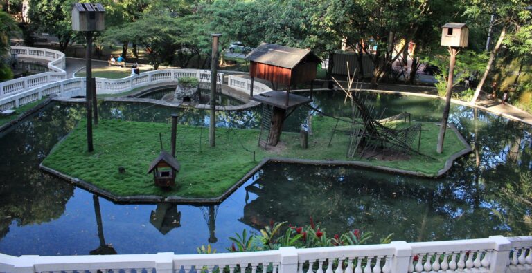 Secretário diz que Bica será reaberta em dez dias: “Leona vai estar lá”