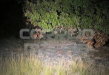 Cabeça humana é encontrada e homem morre em tiroteio com a polícia, em João Pessoa