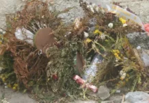 Juíza determina exumação de idoso sepultado por família errada e traslado para cemitério correto