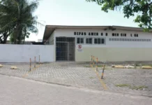 Necropsia revela que bebê encontrado em caixa de papelão em João Pessoa já nasceu morto