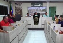 Na 1ª sessão do ano, Câmara de Ingá aprova projetos do Executivo que reajustam salário mínimo e piso dos agentes de saúde