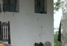 Chacina em Itabaiana: quase 200 tiros foram disparados e quatro tipos de armas foram utilizadas, diz polícia