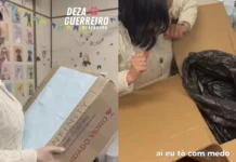 Vereadora diz que cão morto em caixa lhe foi enviado pela tutora dele