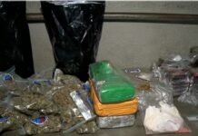 Polícia apreende drogas avaliadas em R$ 1 milhão, em João Pessoa