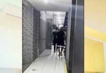 Cantor é preso por violência doméstica e cárcere privado contra esposa, em Guarabira