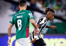 Palmeiras empata sem gols com Botafogo e Flamengo se consolida na liderança