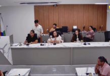 Câmara de Ingá aprova projeto de municipalização do trânsito e criação da SMT